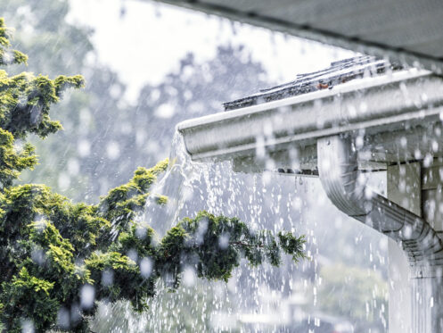 Plumbing services in Cheshire, CT